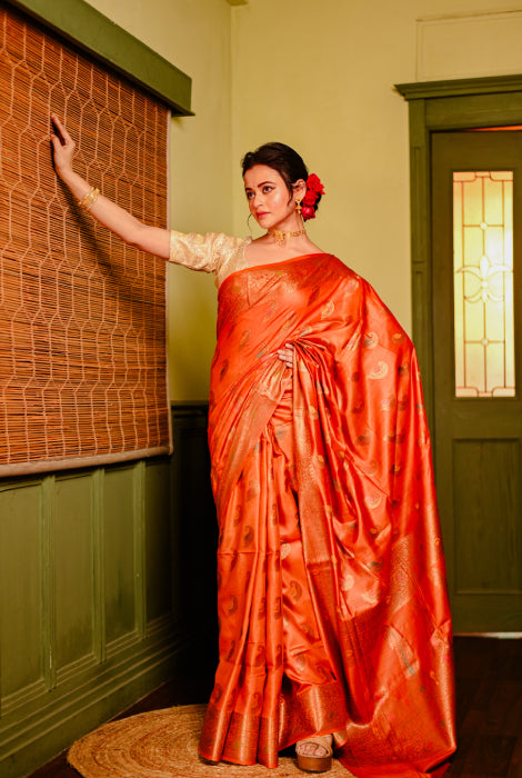 Tusser silk Banarasi
