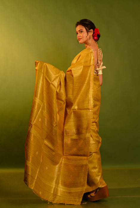 Pure desi tusser silk