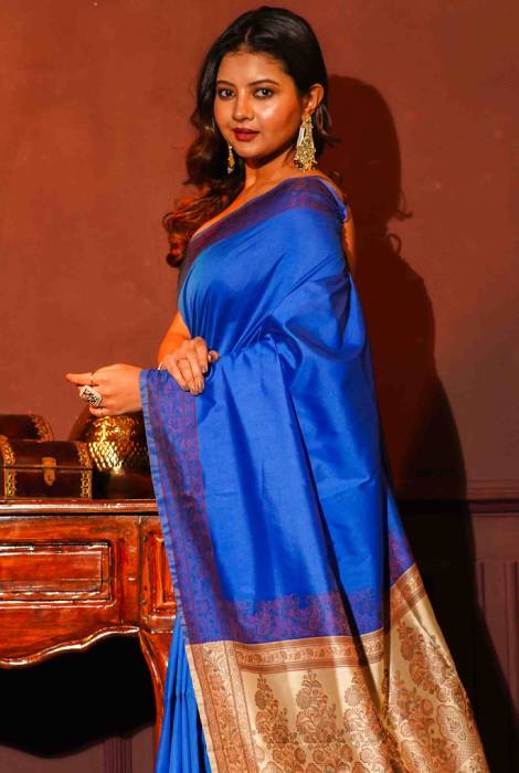 Banarasi light weight thread work saree