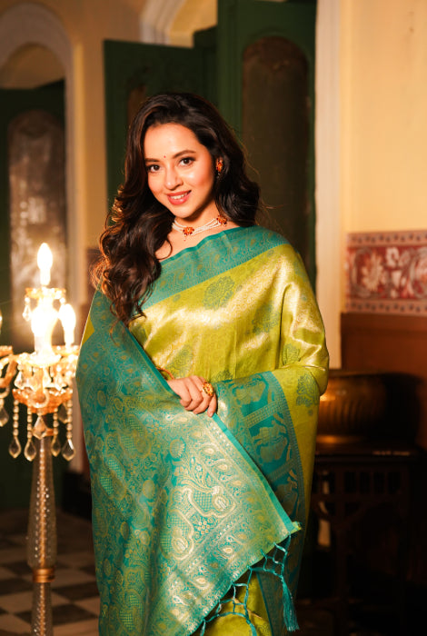 Banarasi tissue katan silk saree