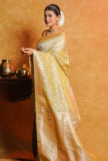 Banarasi light weight saree