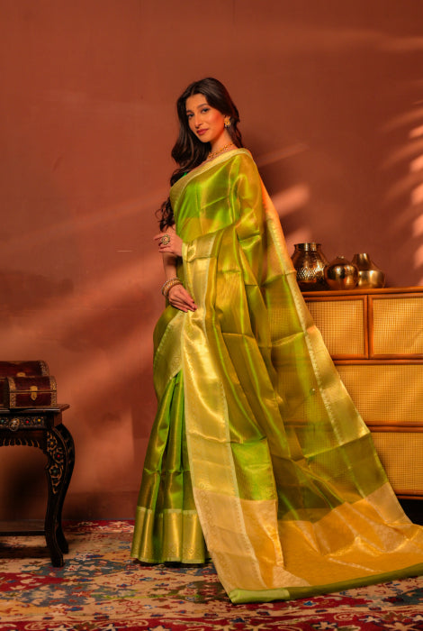 Tissue silk