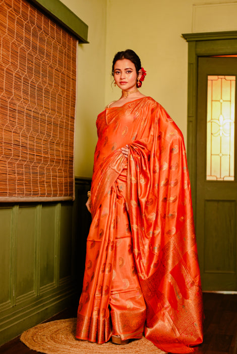 Tusser silk Banarasi