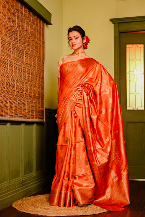 Tusser silk Banarasi