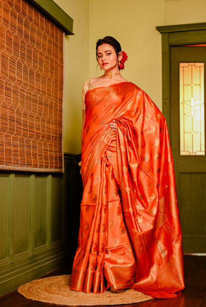 Tusser silk Banarasi