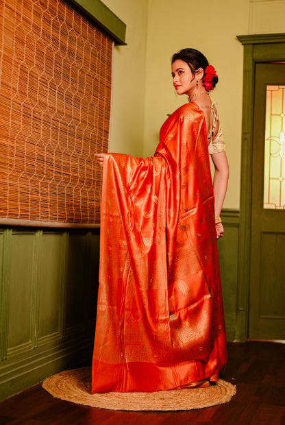 Tusser silk Banarasi