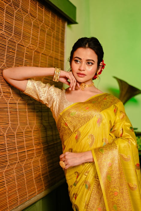 Tusser silk Banarasi