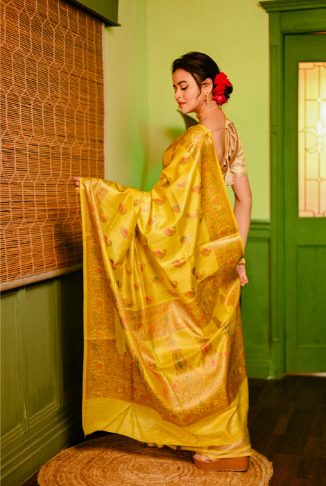 Tusser silk Banarasi