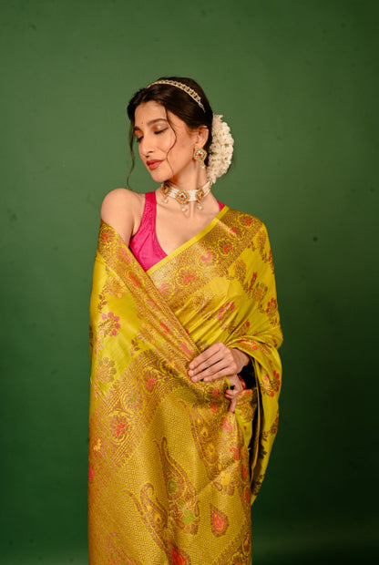 Tusser silk Banarasi