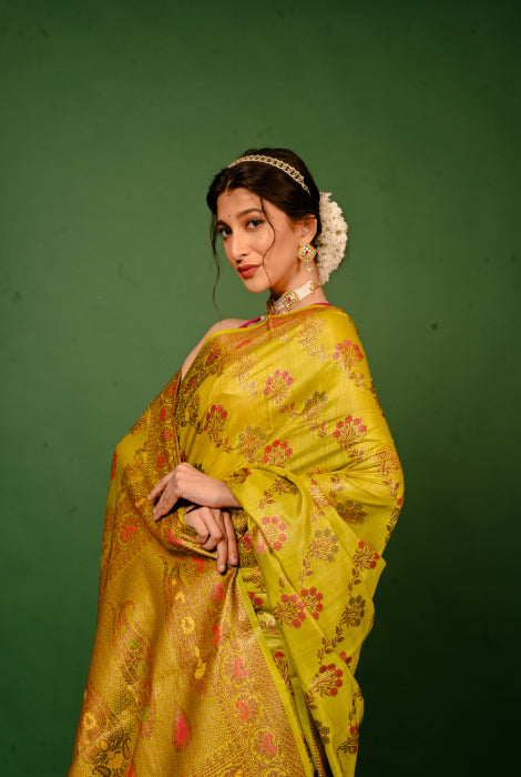 Tusser silk Banarasi