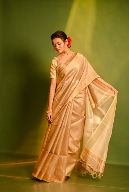 Pure desi tusser silk