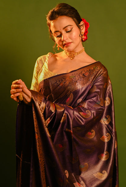 Tusser silk Banarasi