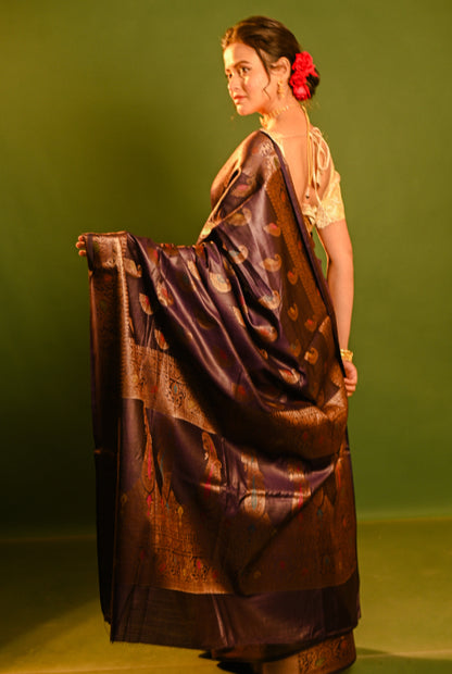 Tusser silk Banarasi