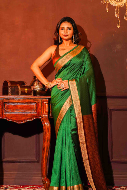 Banarasi light weight thread work saree