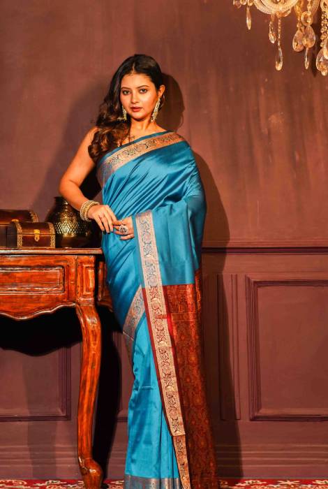 Banarasi light weight thread work saree