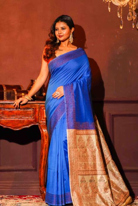 Banarasi light weight thread work saree