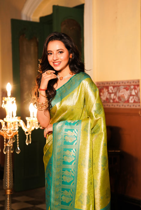 Banarasi tissue katan silk saree
