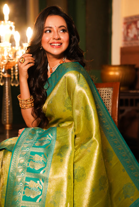 Banarasi tissue katan silk saree