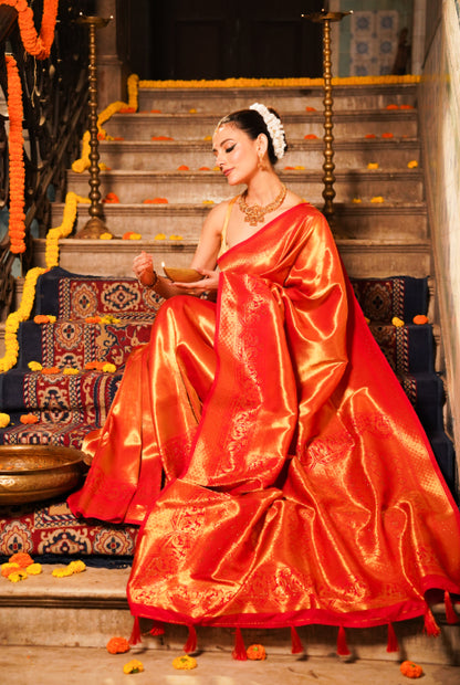 Banarasi tissue silk saree Swarovski work