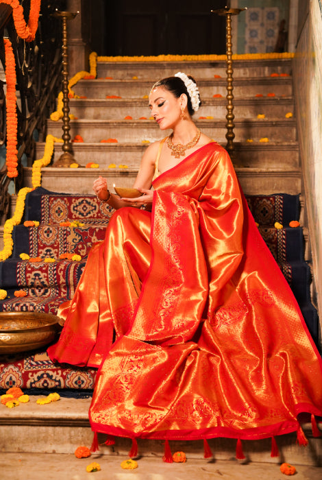 Banarasi tissue silk saree Swarovski work