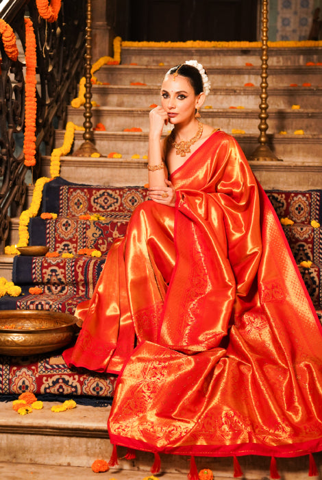 Banarasi tissue silk saree Swarovski work