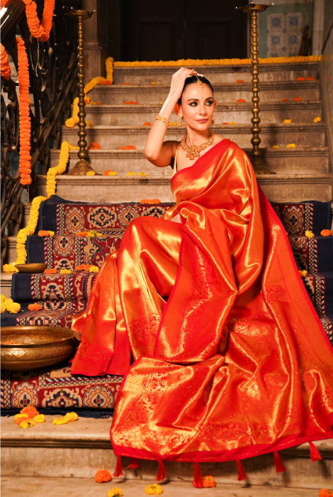 Banarasi tissue silk saree Swarovski work