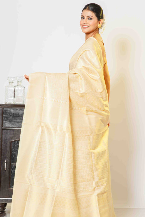 Kanchipuram semi silk